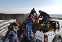 Aumentan desembarques y exportaciones mientras recursos pelágicos lideran la pesca ilegal