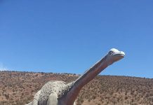 Gratuidad en parques de CONAF