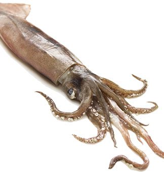 “El lobby de la industria quedó fuera del Congreso”