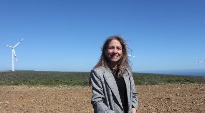 Susana Jiménez, Ministra de Energía: «Esta es una región que tiene vocación de energía renovable»