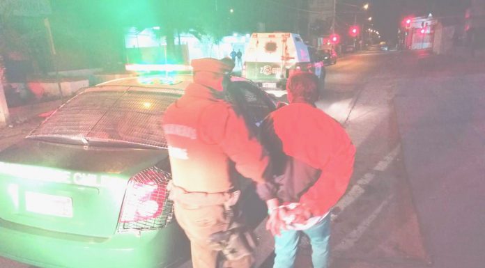 Antisocial sorprendido cuando robaba especies de delegación municipal