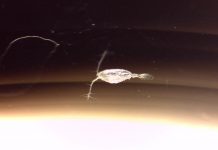 CEAZA: Acidificación del océano amenaza a organismos marinos