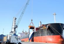 Puerto registra un 29,8 por ciento más de exportaciones en enero de este año en comparación a enero de 2018