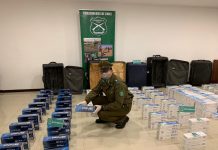 Traían 5 mil cajetillas de cigarrillos de contrabando en maletero de bus