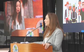 Nuevos hospitales, parque tecnológico y plan de electromovilidad destacan en cuenta pública de la intendenta Pinto