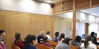 Tribunal oral condena a presidio efectivo al chofer que causó muerte