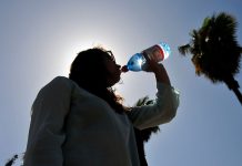 Para toda la Región de Coquimbo pronostican altas temperaturas