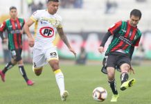 PIRATAS ANALIZARON LA DERROTA ANTE PALESTINO