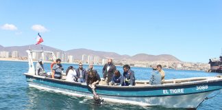 Siguen la pista a mancha de aceite