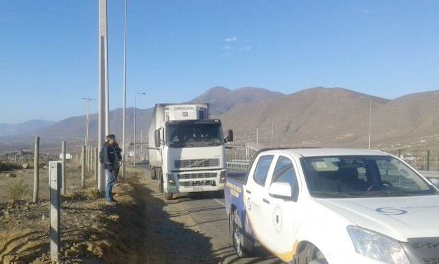 Sernapesca descubre 11 toneladas de jibia en camión detenido en la carretera