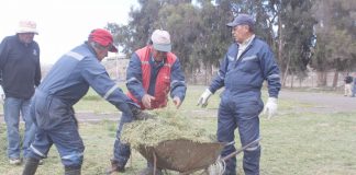 Habilitan un Centro de acopio de pasto y verduras en el Parque Pedro de Valdivia
