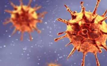 Medicina UCN realizará exámenes de PCR para detección de CoViD-19