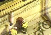 Confinamiento por Covid-19 ha reducido los delitos en un 40%