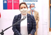 Intendenta: «Chile está entrando en la etapa dura de la pandemia y como región no vamos a ser la excepción»