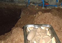 Aparentes restos indígenas al interior del ex mercado municipal