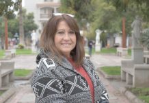 Organizaciones diversas entregan carta de apoyo al Core por voto Pro Dominga