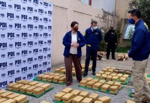 PDI decomisa en La Serena más de 400 kilos de marihuana del tipo cripy