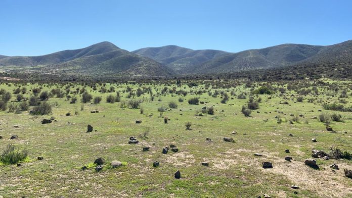 lado-este-del-sitio-16082020-696x392