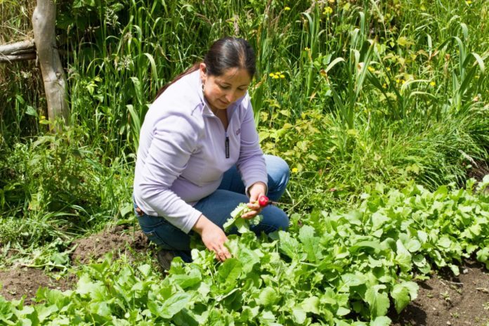 agricultura-696x464