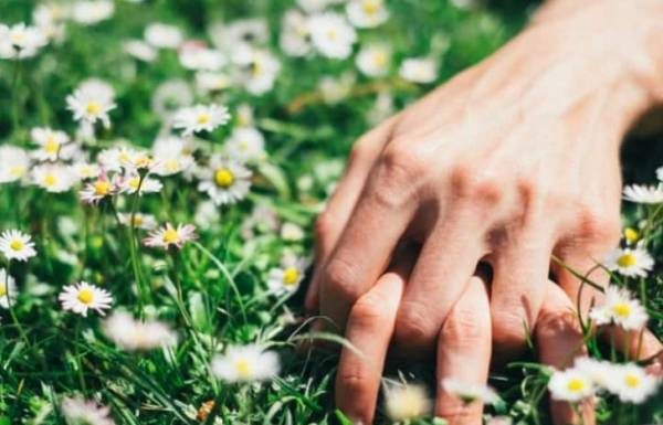 Ahora recomiendan tener sexo en espacios abiertos para evitar el coronavirus.