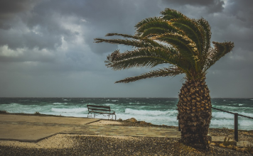 Pronostican vientos en la costa de la región de Coquimbo.