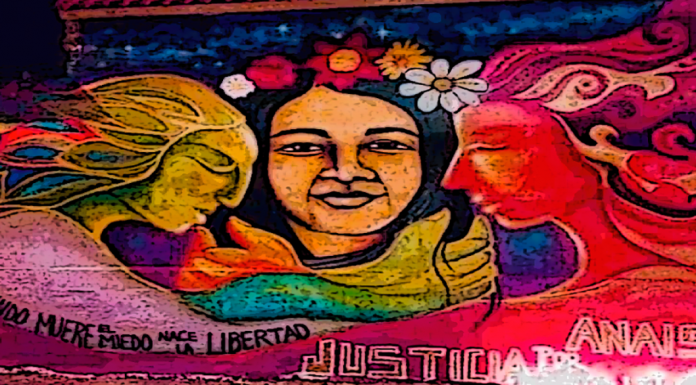 Senadora Muñoz: «No queda más que revisar y fiscalizar el procedimiento de la Fiscalía de Vicuña»