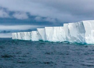 Iceberg más grande del mundo podría causar una catástrofe ecológica en las próximas semanas.
