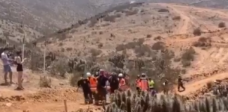 Encuentran con vida a mujer que permanecía desaparecida en La Serena.