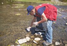Análisis concluyen en que calidad del agua de Río Choapa es buena