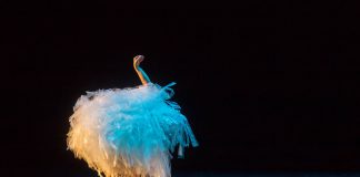 Compañía de Teatro La Llave Maestra aterriza en Coquimbo con obra y Masterclass de poesía visual