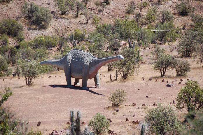 Monumento Natural Pichasca