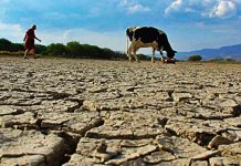Déficit de precipitaciones es cercano al 100% y proyecciones son que se mantendrá la sequía