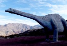 Río Hurtado avanza a Fase 3 de Preparación en Plan Paso a Paso