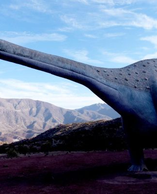 Río Hurtado avanza a Fase 3 de Preparación en Plan Paso a Paso