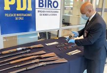 Detectives incautan escopetas, rifles y carabinas en parcela de La Serena