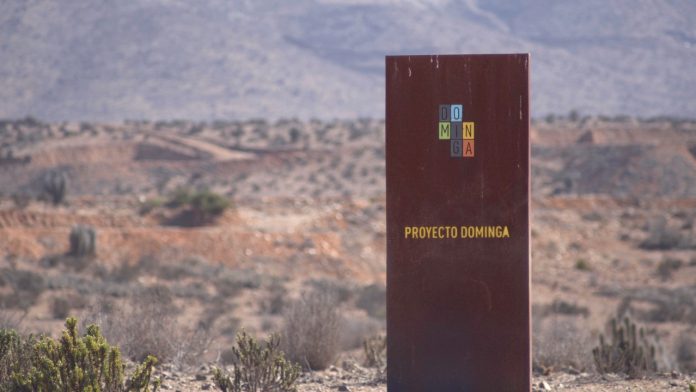 dominga anes iron