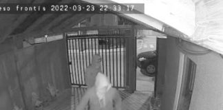 Grupo delictual habría robado en al menos cuatro viviendas