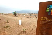 Andes Iron se hace parte en causa que busca anular la calificación ambiental favorable de proyecto Dominga