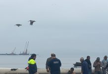 Pelea entre algueros en Playa Changa