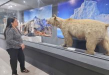 Un paseo entre tesoros del pasado en el Museo del Liceo Gregorio Cordovez