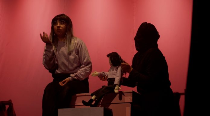 Teatro para toda la familia: Obra regional deslumbró a la comunidad de Coquimbo