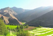 Hasta 33 grados en los valles interiores: Emiten alerta por altas temperaturas en la región