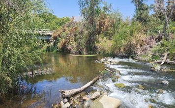 Municipalidad de Monte Patria solicita reconocimiento de humedal urbano