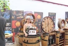 Fiesta de La Vendimia en Vicuña se tomó Plaza Gabriela Mistral