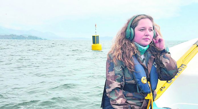 Boyas inteligentes en Chungungo evitarán que los barcos choquen con ballenas