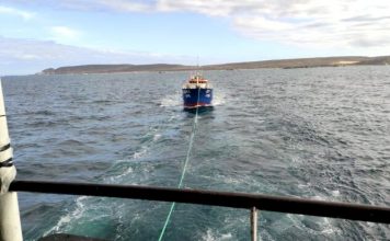 Momentos de tensión hubo en la costa de Los Vilos…