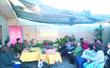 Vecinos activan reuniones con Carabineros y autoridades para detener la delincuencia en sector centro del puerto