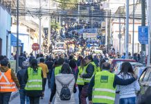 65 mil personas participaron en simulacro de terremoto y tsunami: ejercicio deja balance positivo