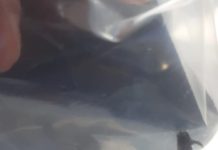 Confirman nuevo caso de murciélago con rabia en la zona