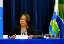 Viaje de Javier Vega a Comité Birregional para Área Marina Protegida genera roces con Gobernadora